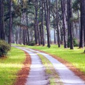 Botany Bay Plantation Heritage Preserve