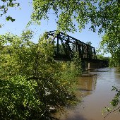 Train Tressle on Congaree River 1026