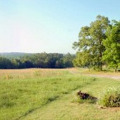 Chesnee - Open Fields