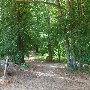 Cottonwood Trail