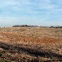Long Farms #1 (John Long)