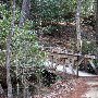 Caesars Head State Park - Wildcat Branch Falls