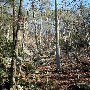 Caesars Head State Park - Wildcat Branch Falls
