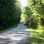 Devils Fork Road