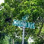 Isle of Palms neighborhood