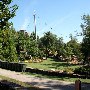 Swamp Rabbit Trail-Shoals