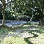 Charles Towne Landing - Walkways