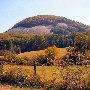 Pickens County (overview)