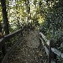 Caesars Head State Park