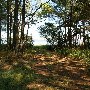 Point of Pines - Look Out Tower, Beach
