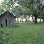Santee Coastal Reserve (SCDNR)