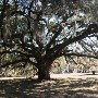 Hampton Plantation State Park