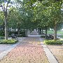 Charleston - General Overview