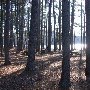 Chester State Park