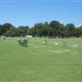Dataw Island - Clubhouse - DRIVING RANGE