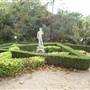Gardens of Charleston - Magnolia Gardens