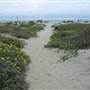 Sullivan's Island - Station 21, 22, 22.5
