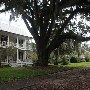 McClellanville - Large Homes