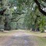 Laurel Hill Plantation / Mt. Pleasant