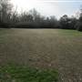 Palmetto Islands County Park - Fields in February