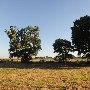 Munn Hill - Capt Don