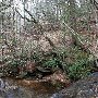 Caesars Head State Park - Wildcat Branch Falls