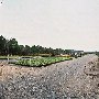 Lowcountry Nursery Company