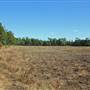 Halidon Hill - Fields ( #01 Logmore)