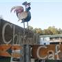 Chicken City