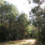 Lake House at Bulow - Trails & Around the Lake