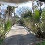 Dewees Island - Beach