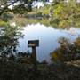 Huyler House Pond