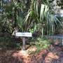 Dewees Island - Lone Cedar Dock