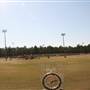 Polo Rd. Soccer Fields