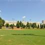 University of SC - Grassy Areas