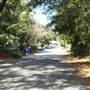 Driftwood Ln & Waterway