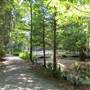 Magnolia Plantation & Gardens MAY LOOKS - Bridges Behind the Bamboo Forest
