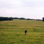 Darby Farms - Pastures