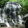 Yellow Branch Falls/ Sumter National Forrest