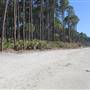 Hunting Island State Park