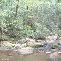 Twin Falls (aka Reedy Cove Falls)