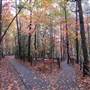 Devils Fork State Park