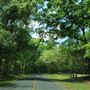 Pine Barron Plantation - Around the Grounds