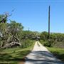 Sunnyside Plantation - Dock & Grounds (Late April 2018)