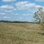 Darby Farms - Pastures