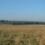 Darby Farms - Pastures