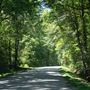 Lake Road