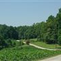 Old Settlement Road