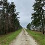 Santee Cooper - West Dyke