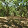 Hyde Park Plantation - Grounds